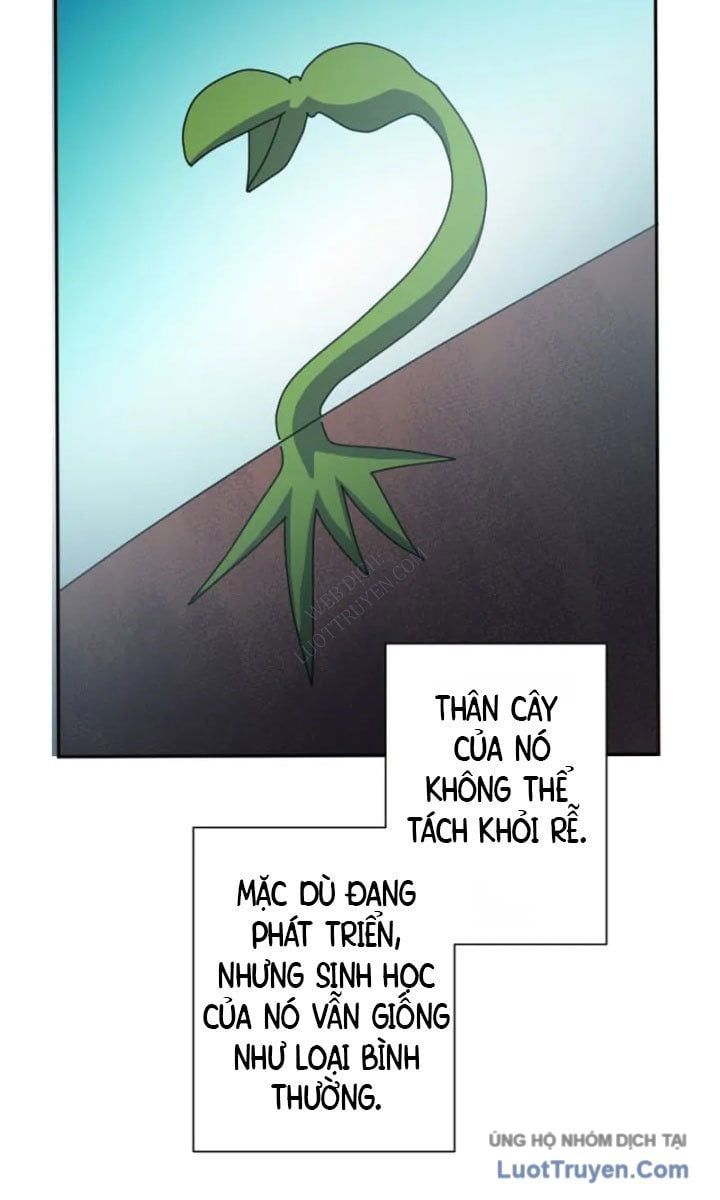 Đại Hiền Giả Sở Hữu Trăm Ma Thạch Chapter 8 - Trang 2