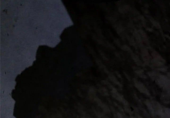 Sống Sót Trong Trò Chơi Với Tư Cách Là Một Cuồng Nhân Chapter 127 - Trang 2