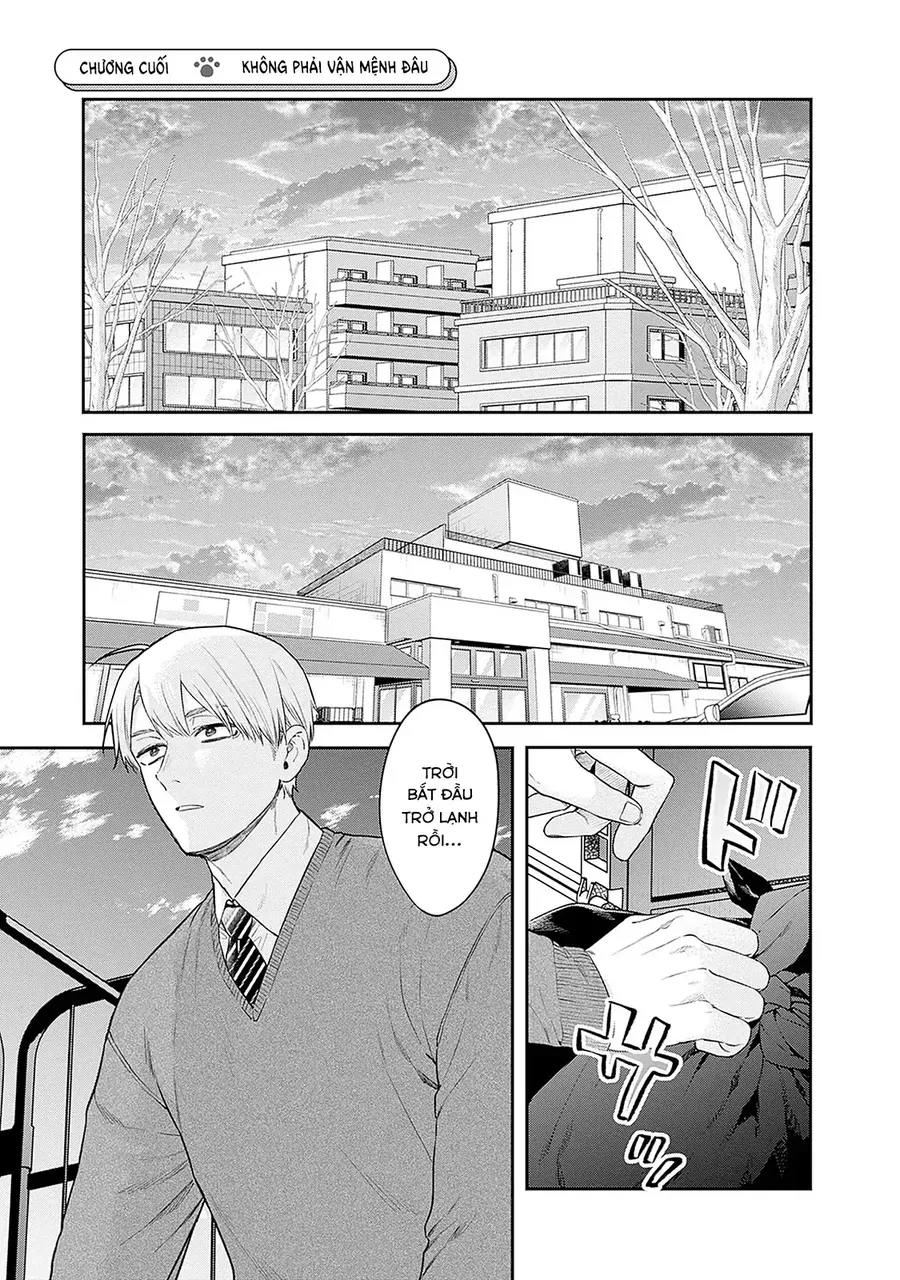 Mi-Chan Wa Kawaretai Chapter 26 - Trang 2