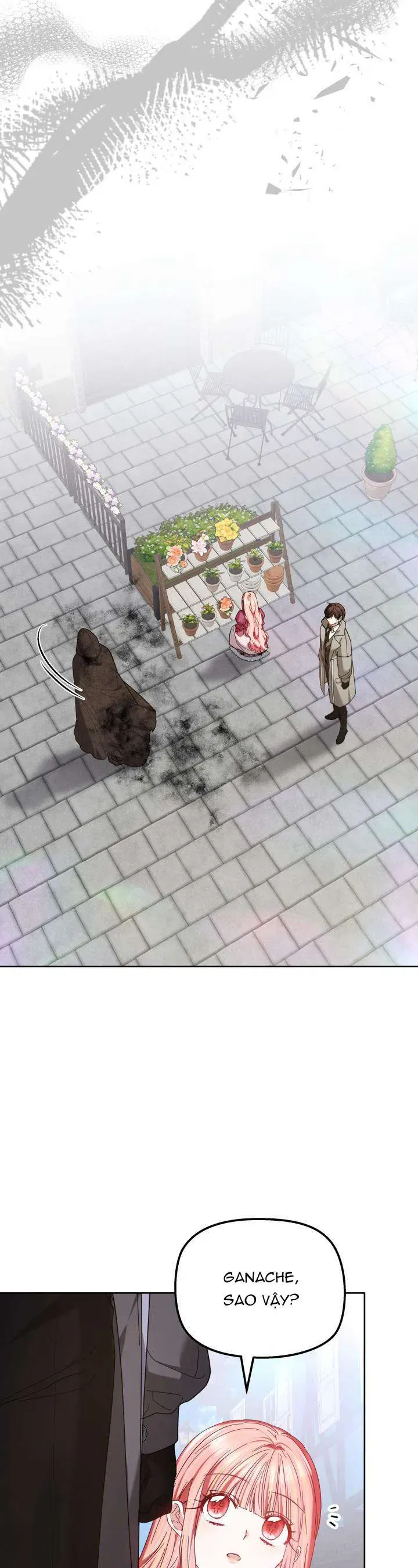 Tiểu Thư Mạnh Mẽ Muốn Trở Nên Yếu Đuối Chapter 9 - Trang 2