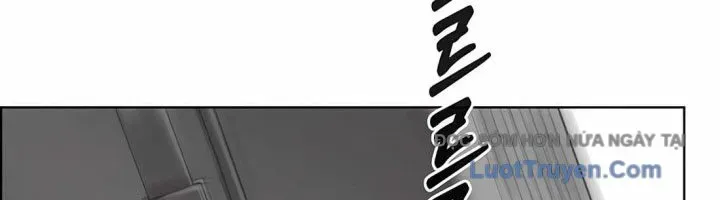 Người Đàn Ông Thực Thụ Chapter 223 - Trang 2