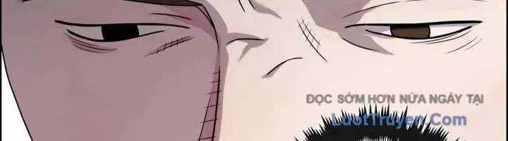 Người Đàn Ông Thực Thụ Chapter 223 - Trang 2