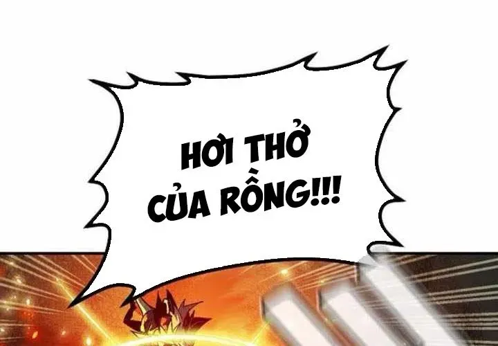 Độc Cô Tử Linh Sư Chapter 202 - Trang 2