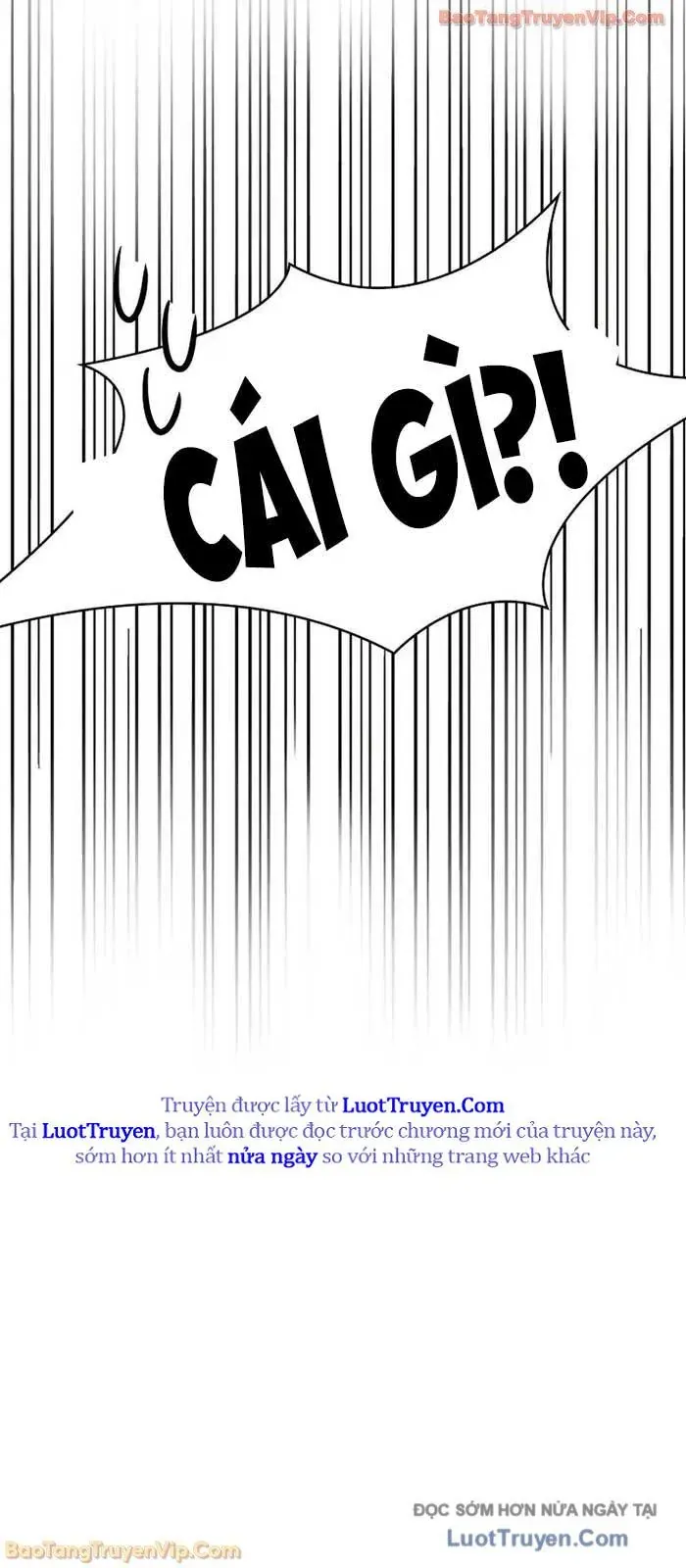 Thiên Tài Ma Pháp Sư Giấu Nghề Chapter 122 - Trang 2