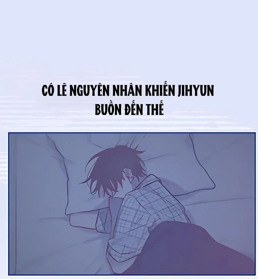 Guild Idol Chapter 41 - Trang 2