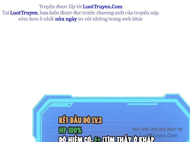 Tinh Linh Thần Chủ Chapter 4 - Trang 2