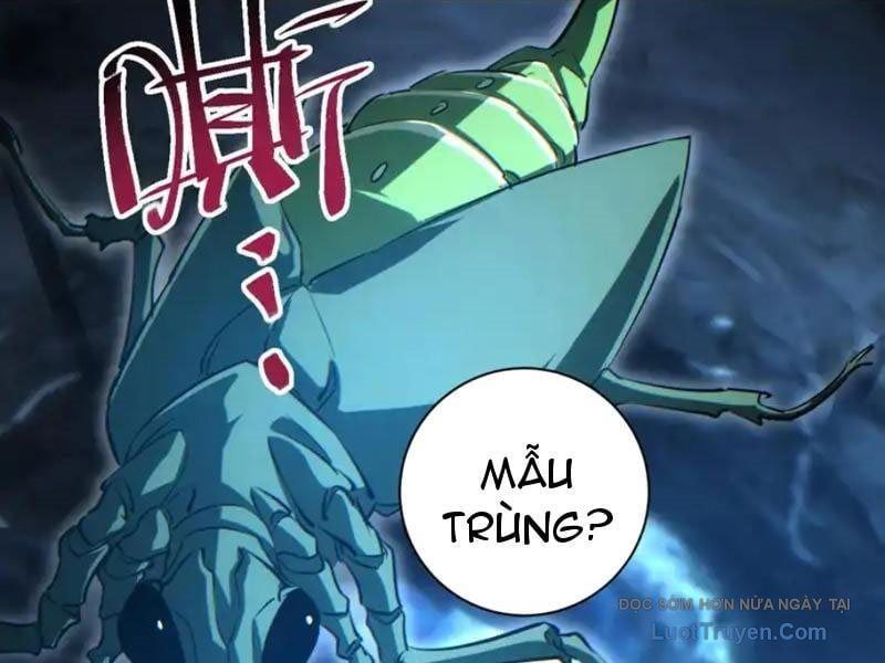Mạt Thế Trùng Sinh: Ta Dựa Vào Mở Rương Vấn Dỉnh Đỉnh Phong Chapter 73 - Trang 2