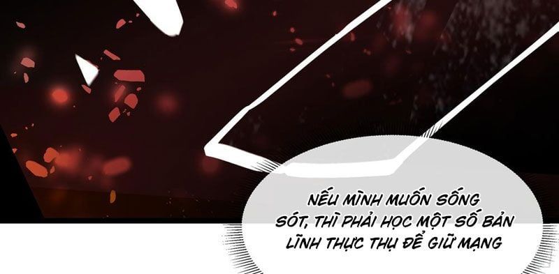 Phổ La Chi Chủ Chapter 10 - Trang 2