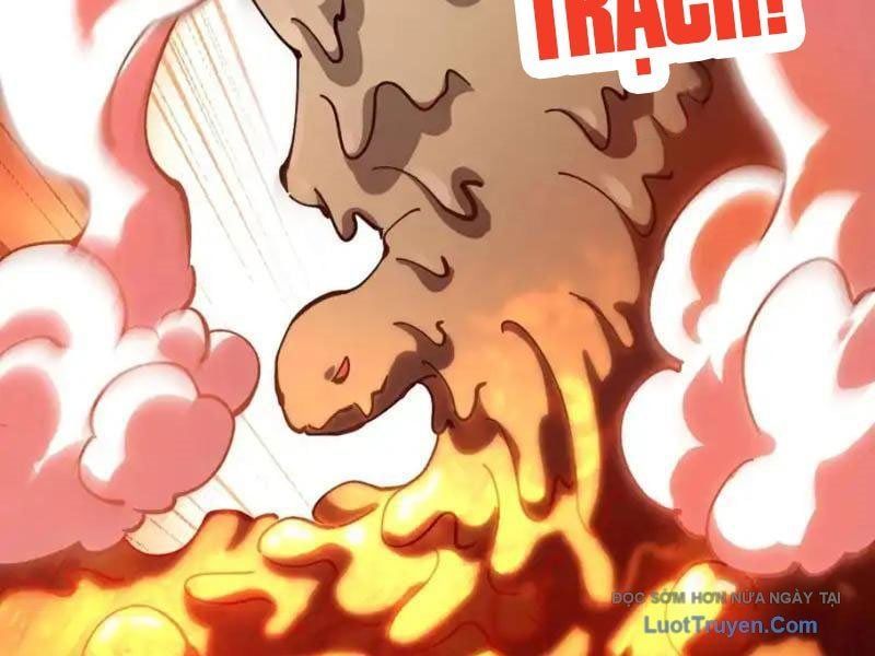 Toàn Cầu Ngự Thú: Ta Có Thể Thấy Lộ Tuyến Tiến Hoá Chapter 45 - Trang 2