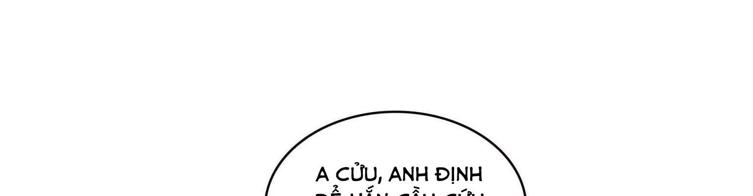 Hệt Như Hàn Quang Gặp Nắng Gắt Chapter 570 - Trang 2
