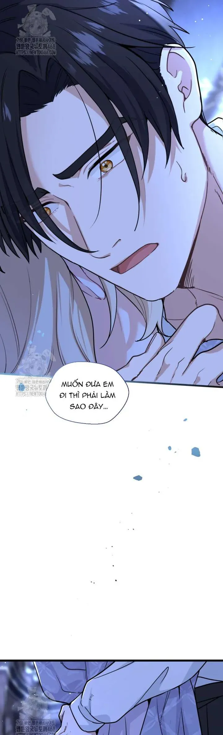 Bệ Hạ, Xin HãY Quên Tôi Đi Chapter 36 - Trang 2