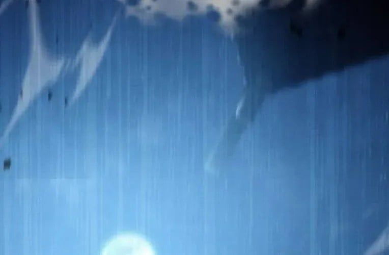 Quyền Vương Phục Sinh Chapter 24 - Trang 2