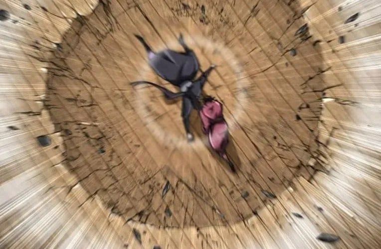 Quyền Vương Phục Sinh Chapter 24 - Trang 2