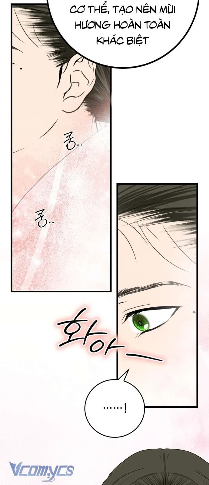 Cuộc Tuyển Chọn Vương Phi Triều Joseon Chapter 40 - Trang 2