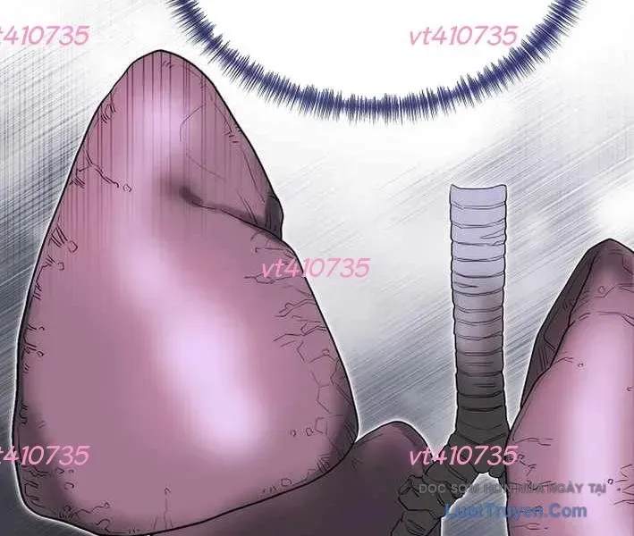 Thần Y Hoa Đà Tái Xuất Chapter 31 - Trang 2