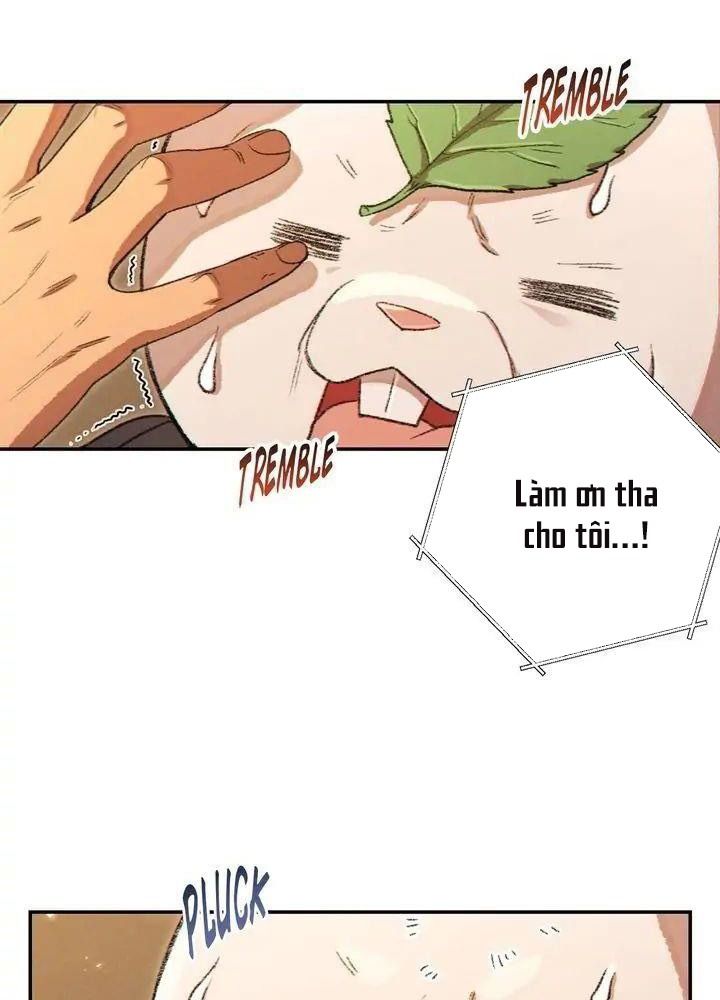 Dungeon Reset Chapter 34 - Trang 2