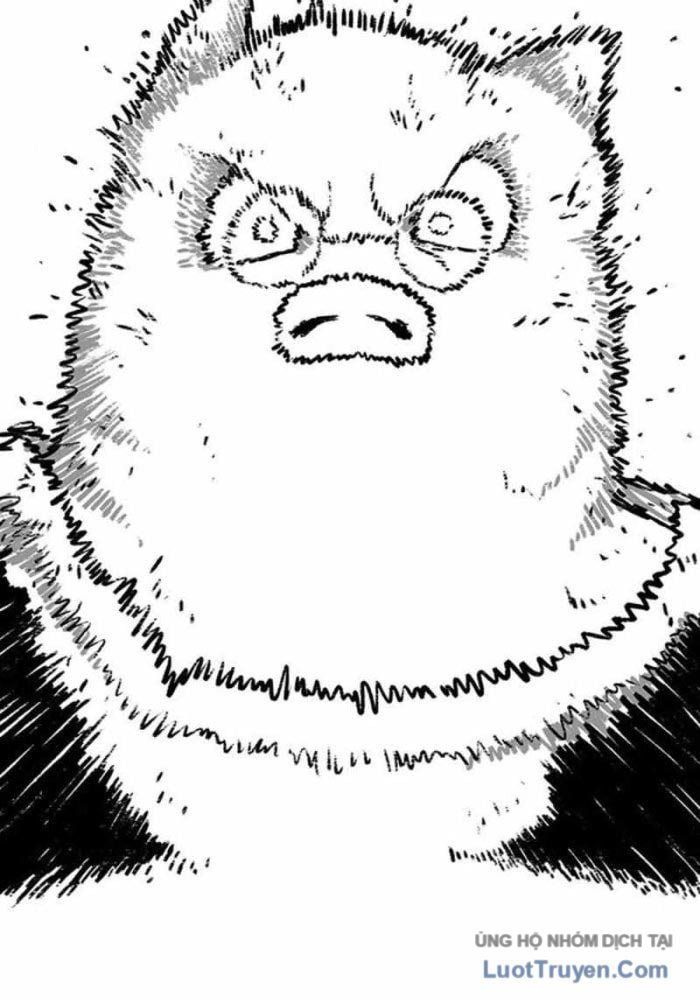 Vết Mờ Của Quá Khứ Chapter 12 - Trang 2