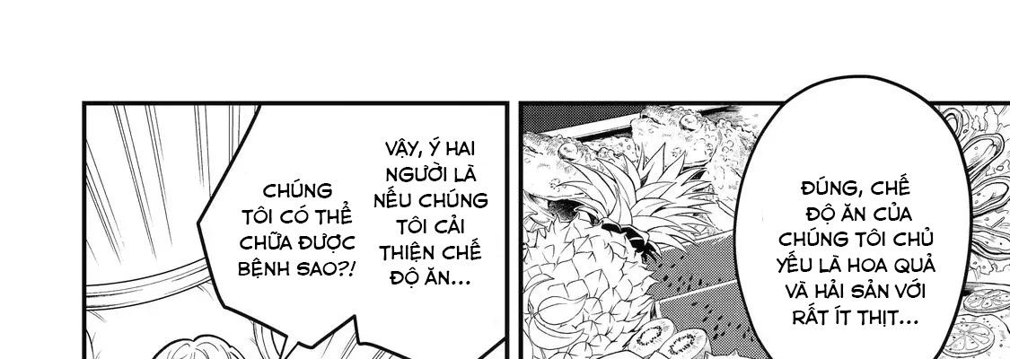 Pháp Sư Mạnh Nhất Dùng Sách Chiến Lược, Tự Mình Tiêu Diệt Ma Vương Chapter 35 - Trang 2