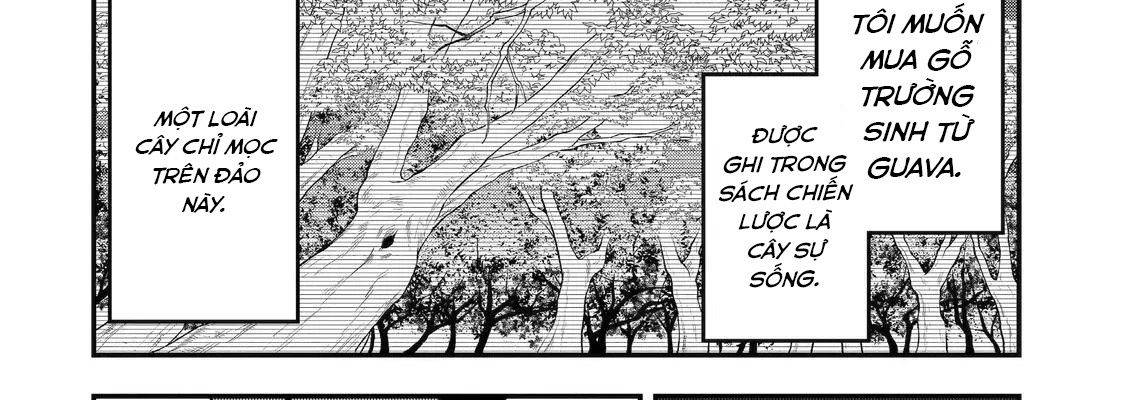 Pháp Sư Mạnh Nhất Dùng Sách Chiến Lược, Tự Mình Tiêu Diệt Ma Vương Chapter 35 - Trang 2