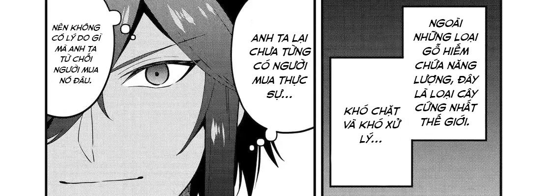 Pháp Sư Mạnh Nhất Dùng Sách Chiến Lược, Tự Mình Tiêu Diệt Ma Vương Chapter 35 - Trang 2