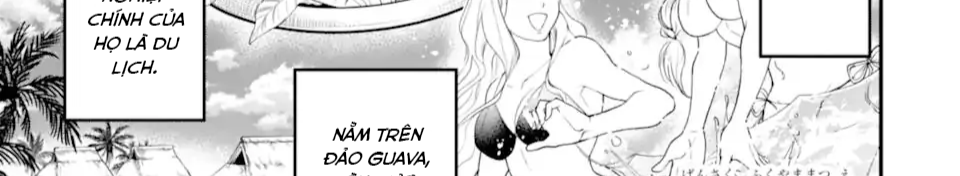 Pháp Sư Mạnh Nhất Dùng Sách Chiến Lược, Tự Mình Tiêu Diệt Ma Vương Chapter 35 - Trang 2