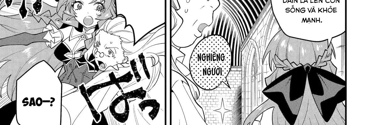 Pháp Sư Mạnh Nhất Dùng Sách Chiến Lược, Tự Mình Tiêu Diệt Ma Vương Chapter 56 - Trang 2