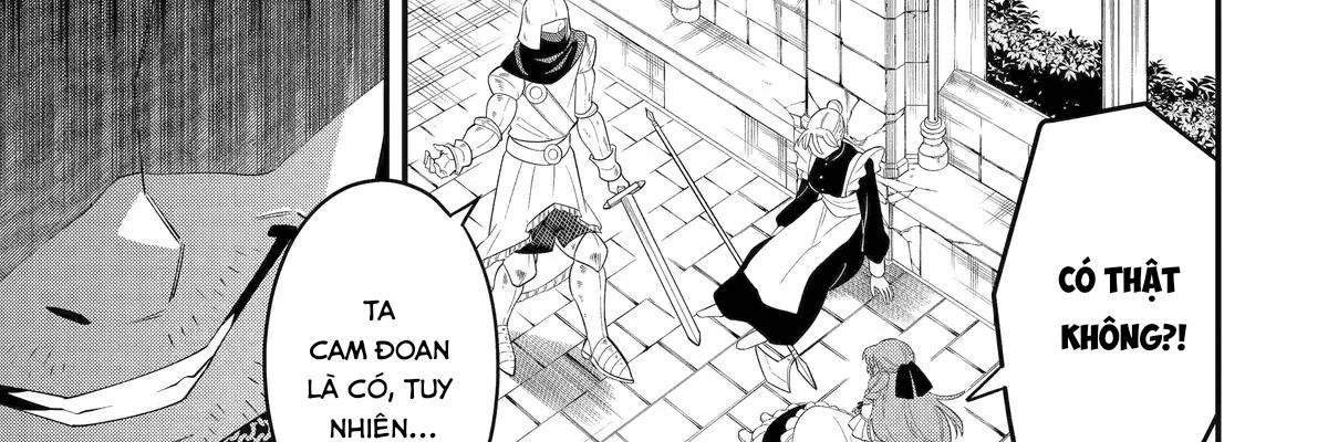 Pháp Sư Mạnh Nhất Dùng Sách Chiến Lược, Tự Mình Tiêu Diệt Ma Vương Chapter 56 - Trang 2