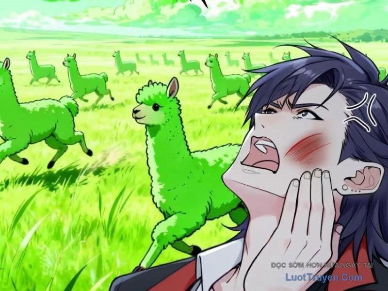 Sau Khi Đầu Thai, Ta Được Kẻ Thù Khắc Thành Vô Địch Chapter 33 - Trang 2