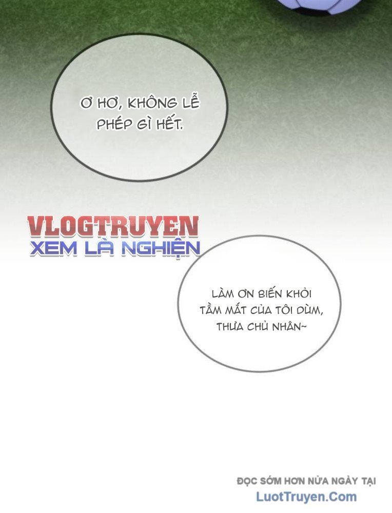 Đường Chuyền Đặc Biệt Của Tiền Vệ Thiên Tài Chapter 28 - Trang 2