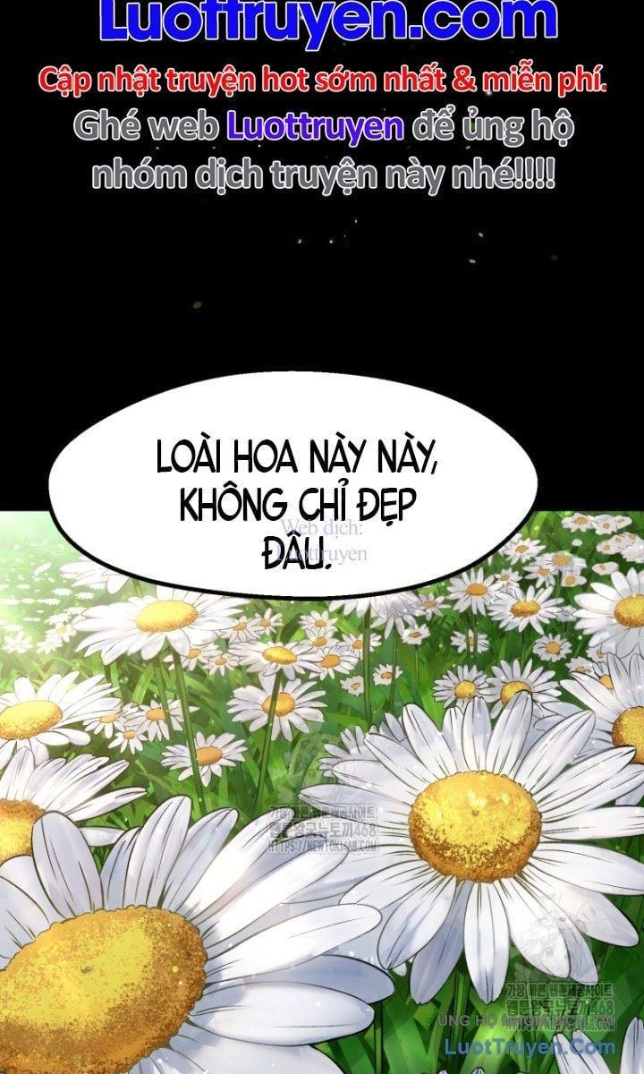 Anh Hùng Mạnh Nhất? Ta Không Làm Lâu Rồi! Chapter 266 - Trang 2