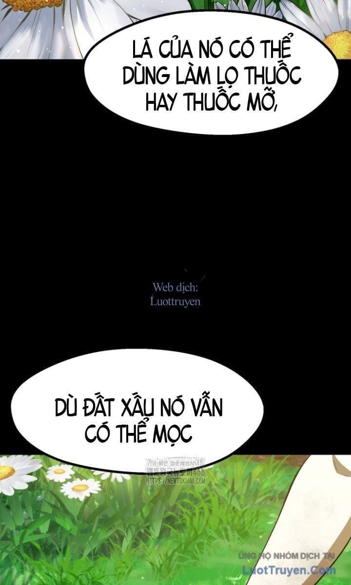 Anh Hùng Mạnh Nhất? Ta Không Làm Lâu Rồi! Chapter 266 - Trang 2