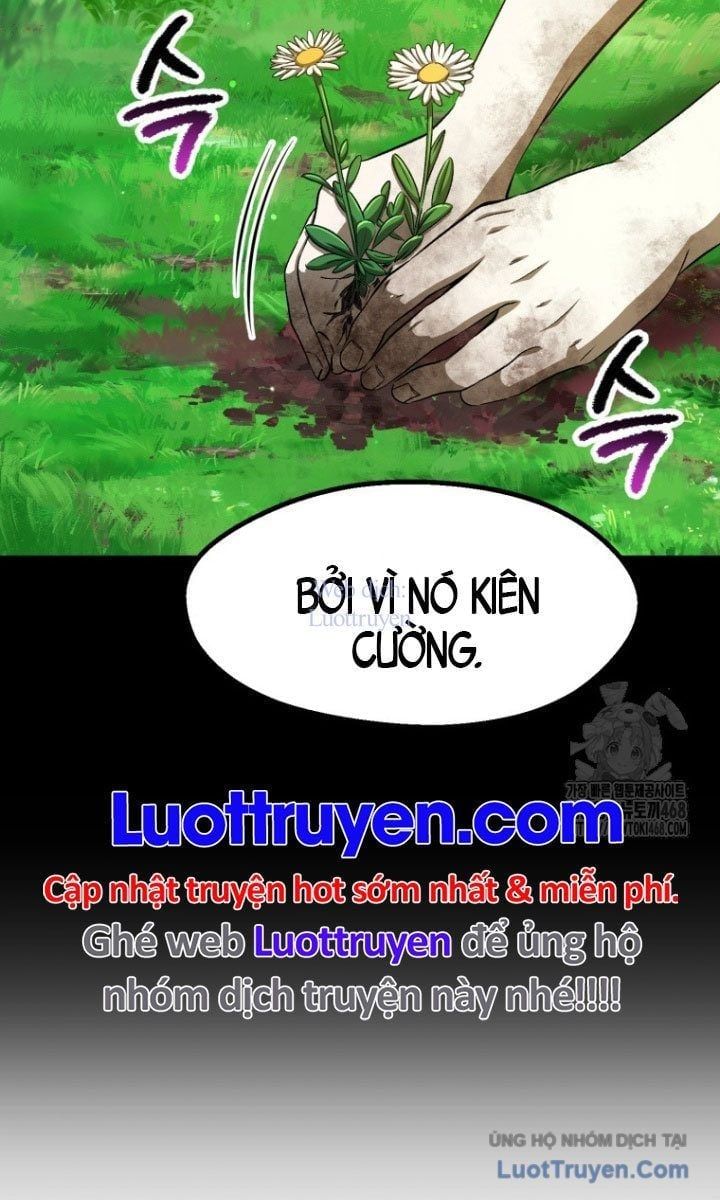 Anh Hùng Mạnh Nhất? Ta Không Làm Lâu Rồi! Chapter 266 - Trang 2