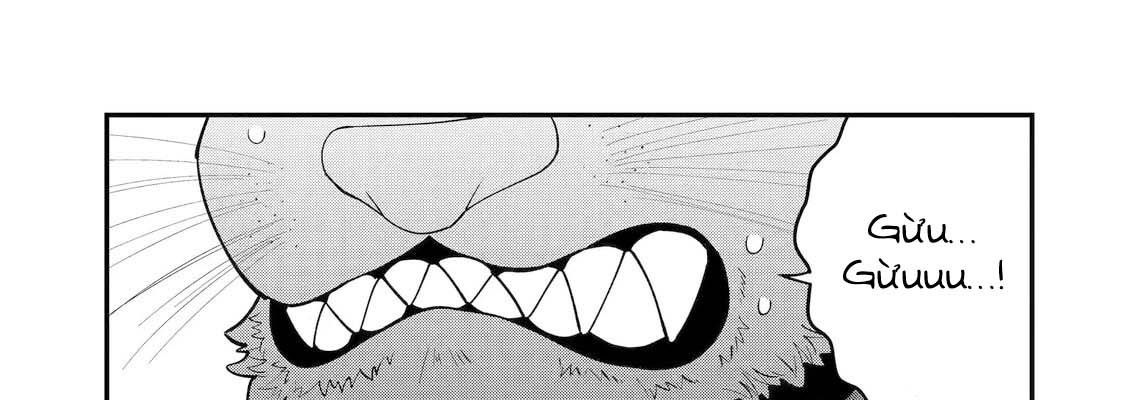 Pháp Sư Mạnh Nhất Dùng Sách Chiến Lược, Tự Mình Tiêu Diệt Ma Vương Chapter 64 - Trang 2