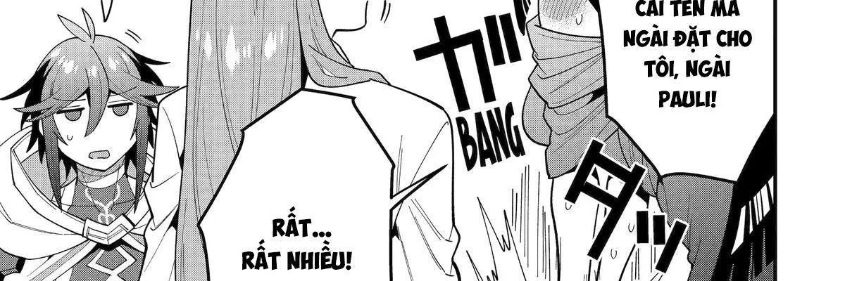 Pháp Sư Mạnh Nhất Dùng Sách Chiến Lược, Tự Mình Tiêu Diệt Ma Vương Chapter 65 - Trang 2