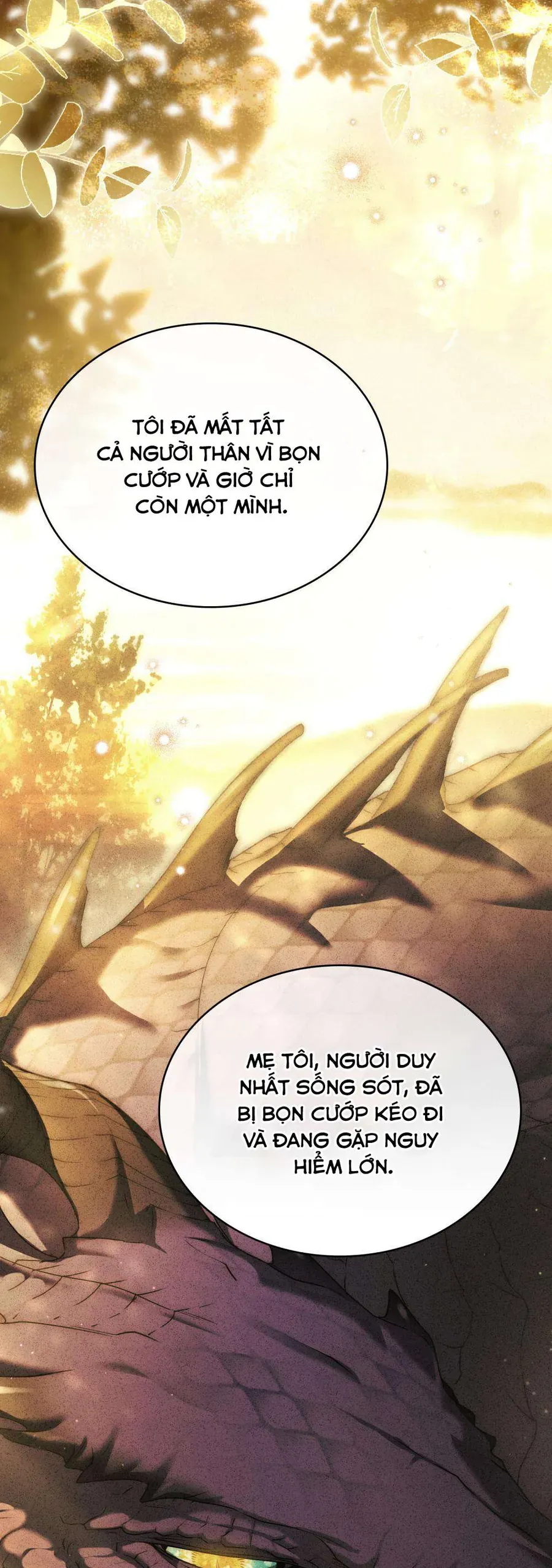 Hôn Nhân Khế Ước Chapter 65 - Trang 2