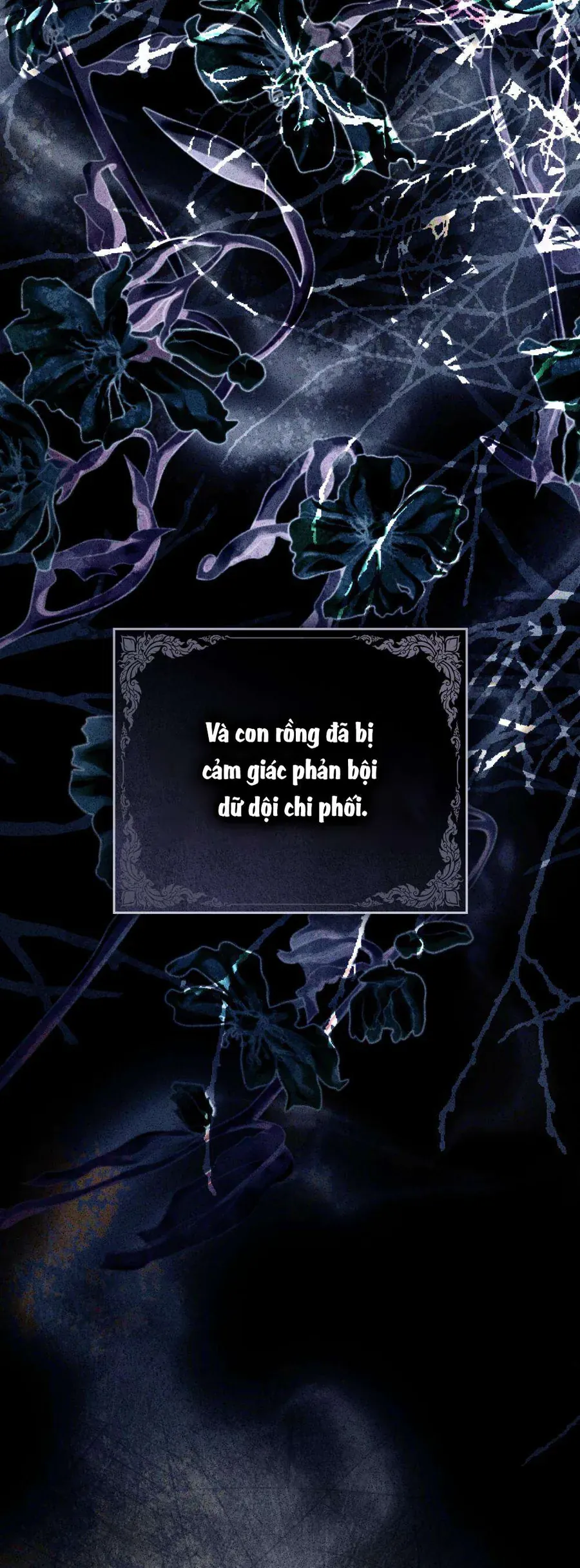 Hôn Nhân Khế Ước Chapter 65 - Trang 2