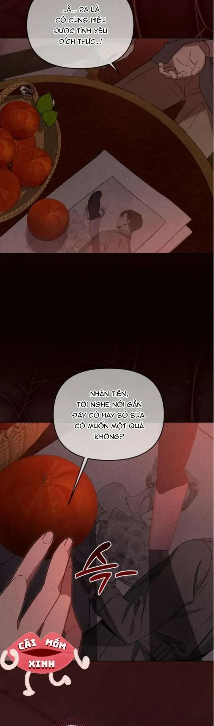 Nơi Đóa Hồng Vàng Úa Tàn Chapter 18 - Trang 2