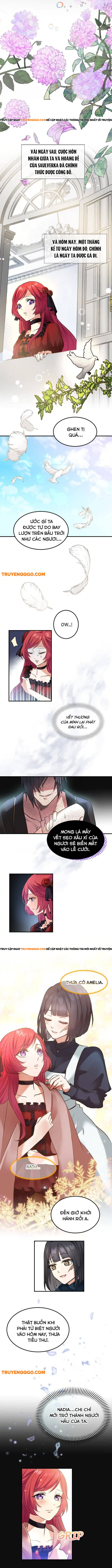 Vũ Khí Báo Thù, Giọt Lệ Tẩm Độc Chapter 2 - Trang 2