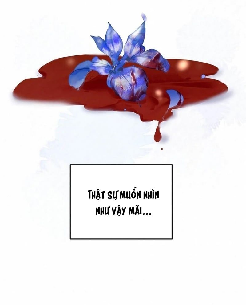 Hôm Nay Điện Hạ Bị Ám Sát Rồi À? Chapter 25 - Trang 2