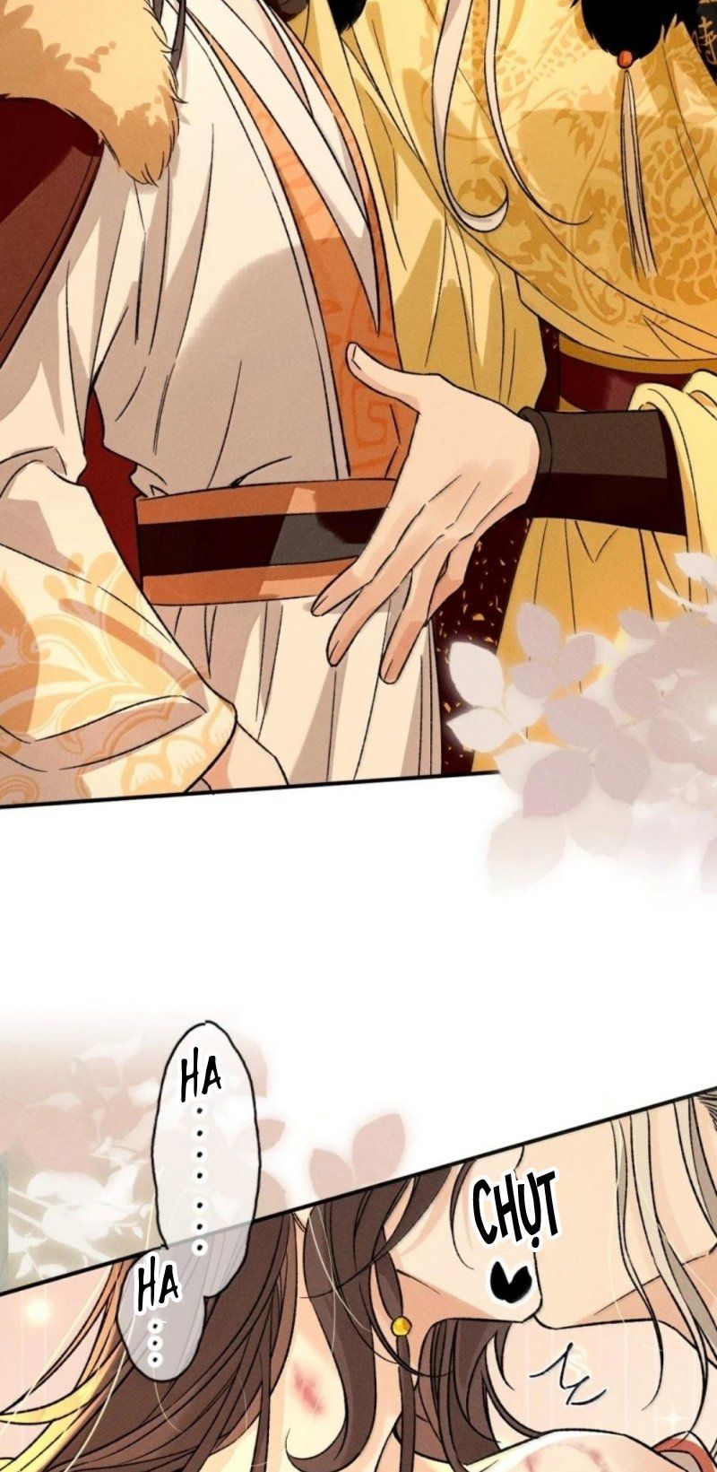 Hải Vương Sau Khi Hoàn Lương Sa Vào Tu La Tràng Chapter 56 - Trang 2