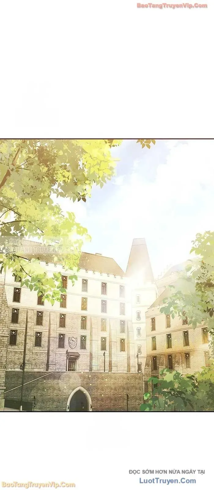 Cuộc Sống Tái Sinh Của Pháp Sư Hẻm Tối Chapter 19 - Trang 2