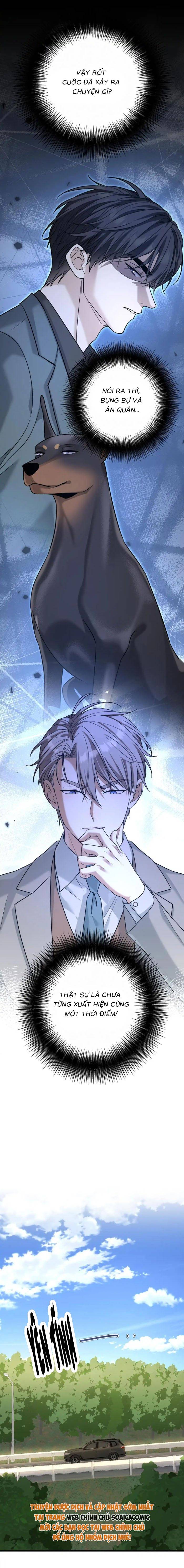 Tổng Tài Chó Chapter 49 - Trang 2