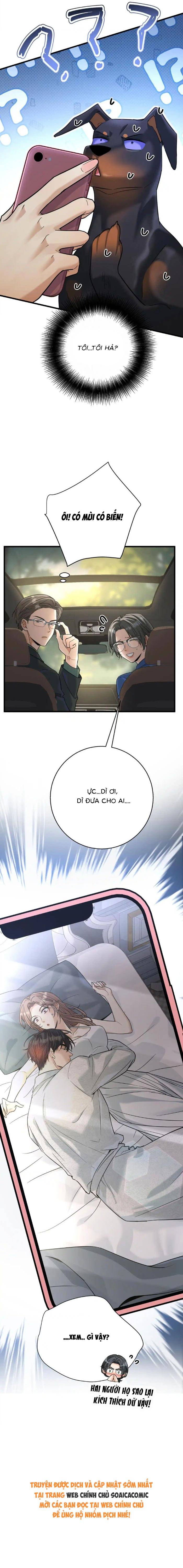 Tổng Tài Chó Chapter 49 - Trang 2