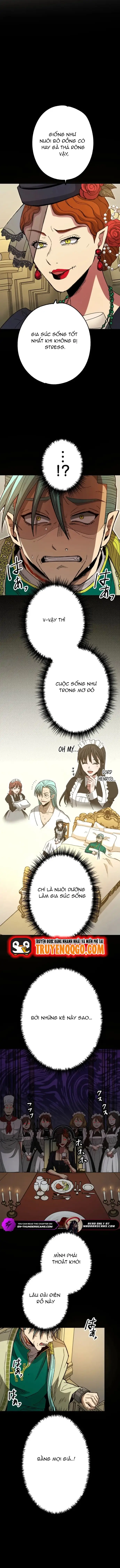 Thợ Săn Hồi Quy Giả Chapter 24 - Trang 2