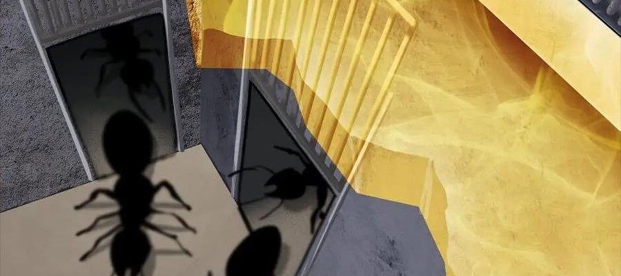 Câu Chuyện Sinh Tồn Của Kiếm Vương Ở Thế Giới Khác Chapter 55 - Trang 2