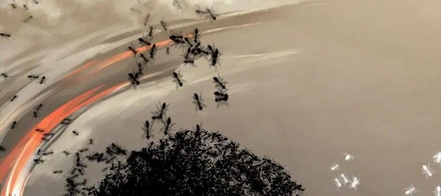 Câu Chuyện Sinh Tồn Của Kiếm Vương Ở Thế Giới Khác Chapter 55 - Trang 2