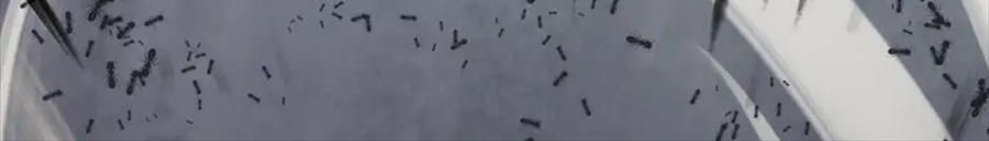 Câu Chuyện Sinh Tồn Của Kiếm Vương Ở Thế Giới Khác Chapter 55 - Trang 2