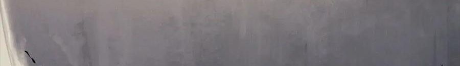 Câu Chuyện Sinh Tồn Của Kiếm Vương Ở Thế Giới Khác Chapter 55 - Trang 2