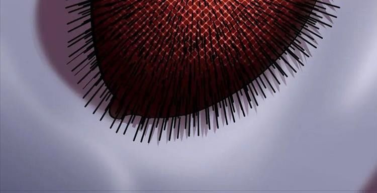 Câu Chuyện Sinh Tồn Của Kiếm Vương Ở Thế Giới Khác Chapter 56 - Trang 2