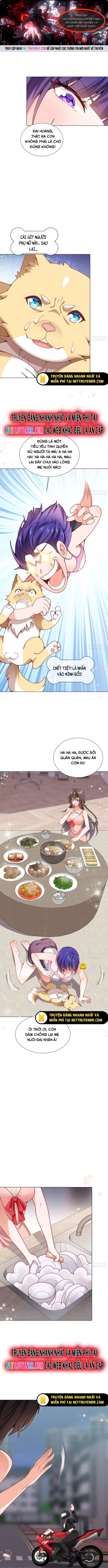 Kế Hoạch Bồi Dưỡng Streamer Của Cẩu Hoàng Chapter 8.1 - Trang 2